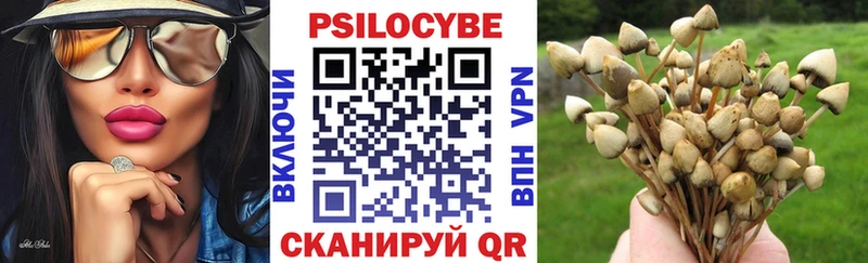 Галлюциногенные грибы Magic Shrooms  продажа наркотиков  Узловая 