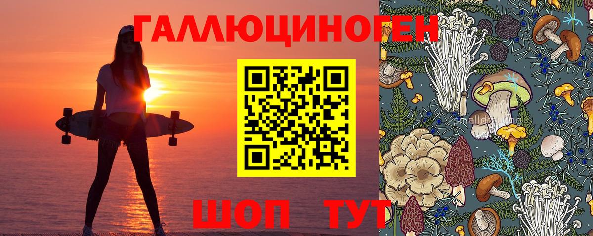 Псилоцибиновые грибы MAGIC MUSHROOMS  Галлюциногенные грибы Psilocybine cubensis  Узловая  Вход с VPN 